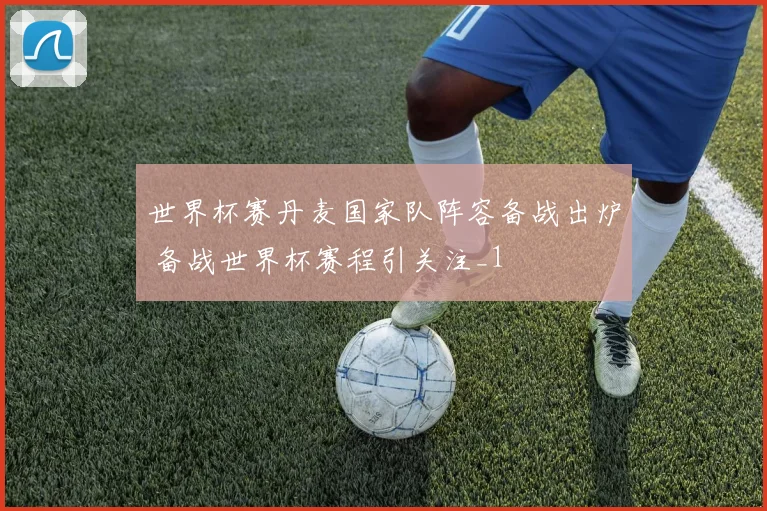 世界杯赛丹麦国家队阵容备战出炉 备战世界杯赛程引关注_1